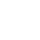 icon1 icon1
